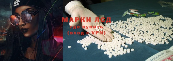 прущие грибы Бугульма