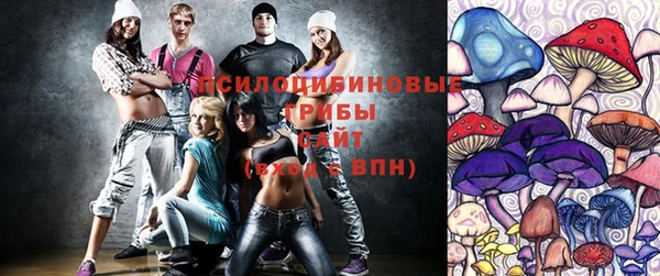 2c-b Бронницы
