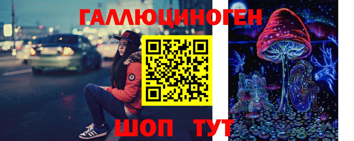 Псилоцибиновые грибы мицелий Армавир